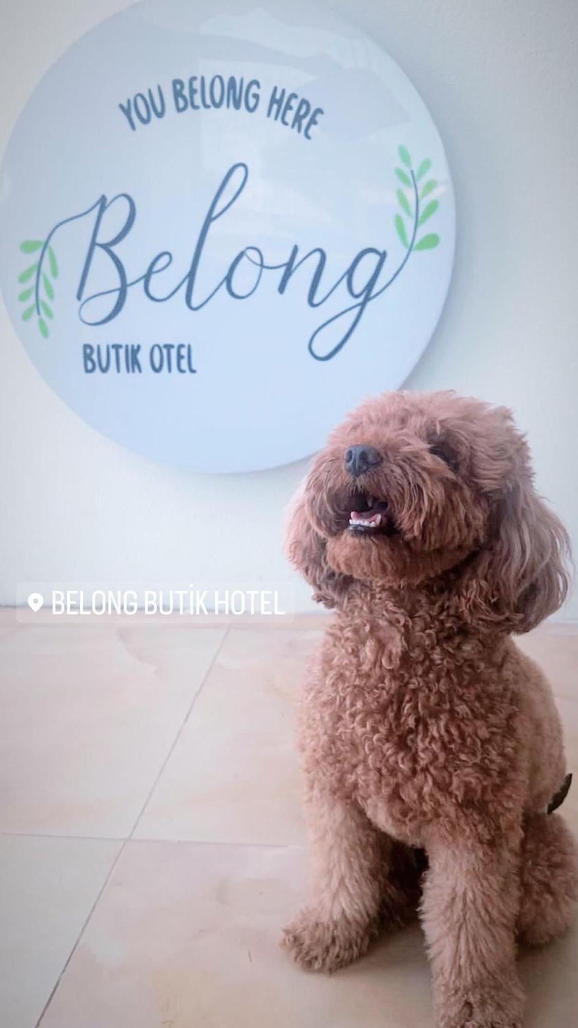 Belong Butik Otel Çeşme Exterior photo
